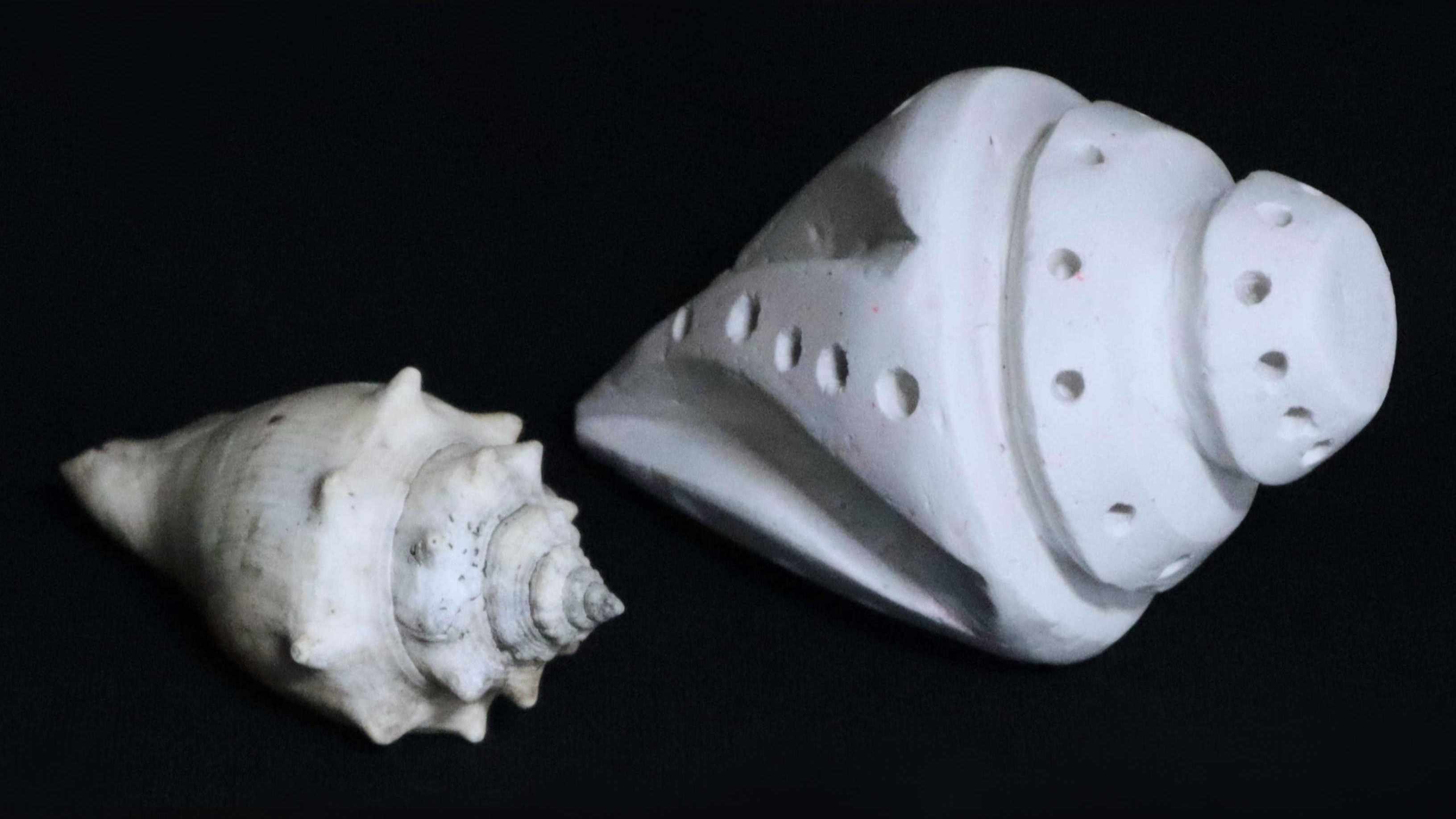 Original seashell beside the final abstract plaster interpretation.
