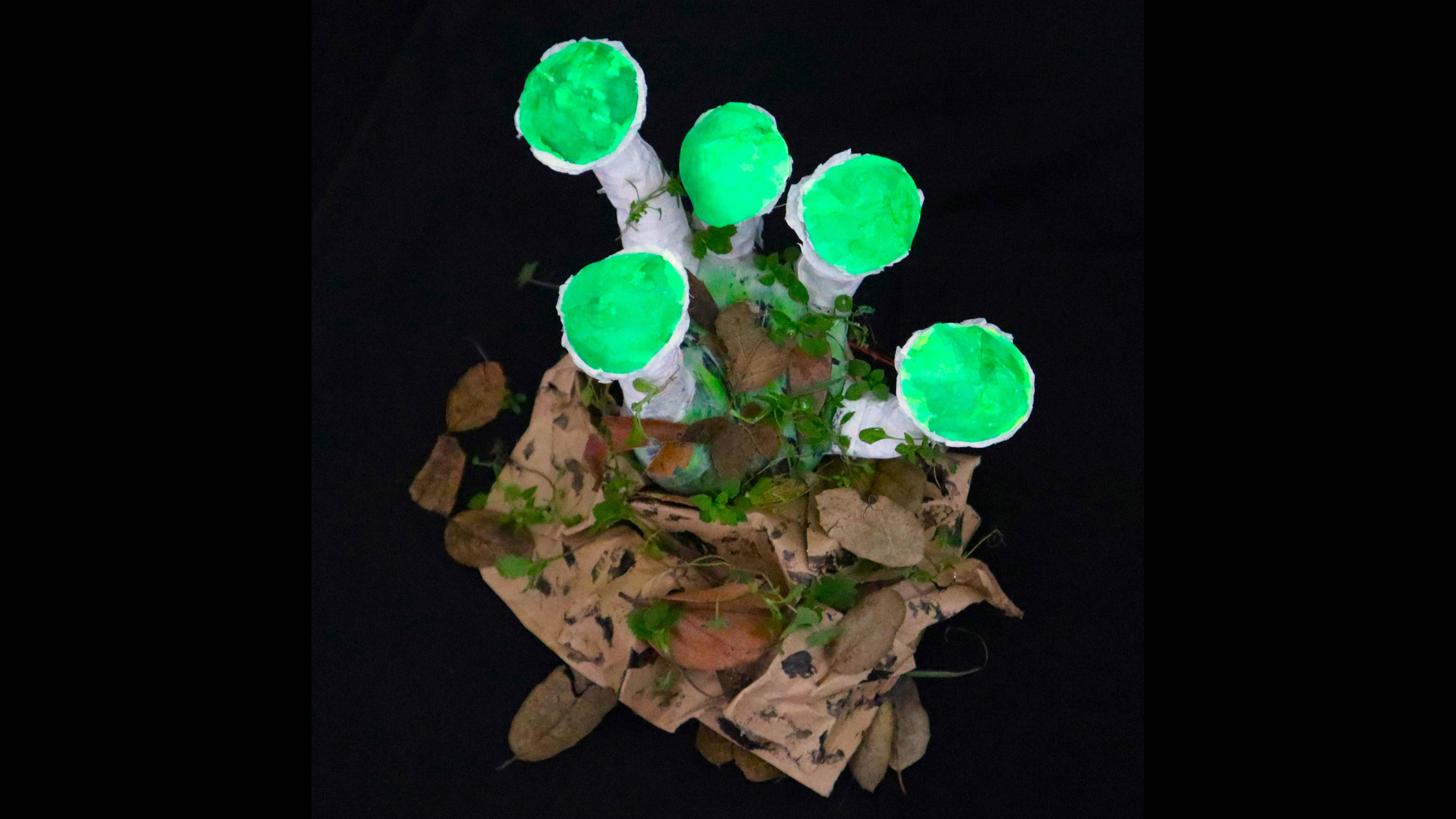 Top view of the sculpture.