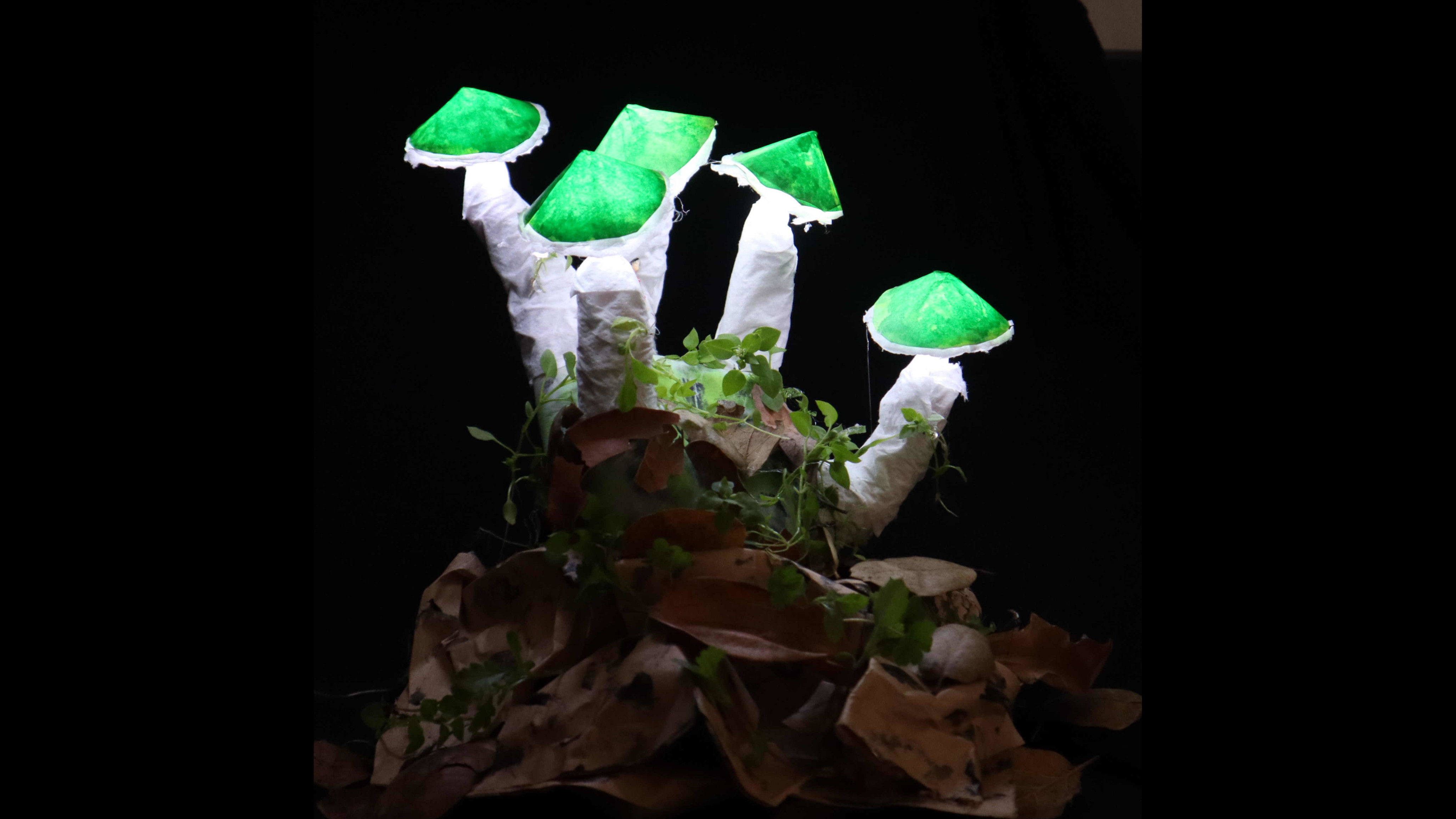 Side view of the illuminated sculpture.