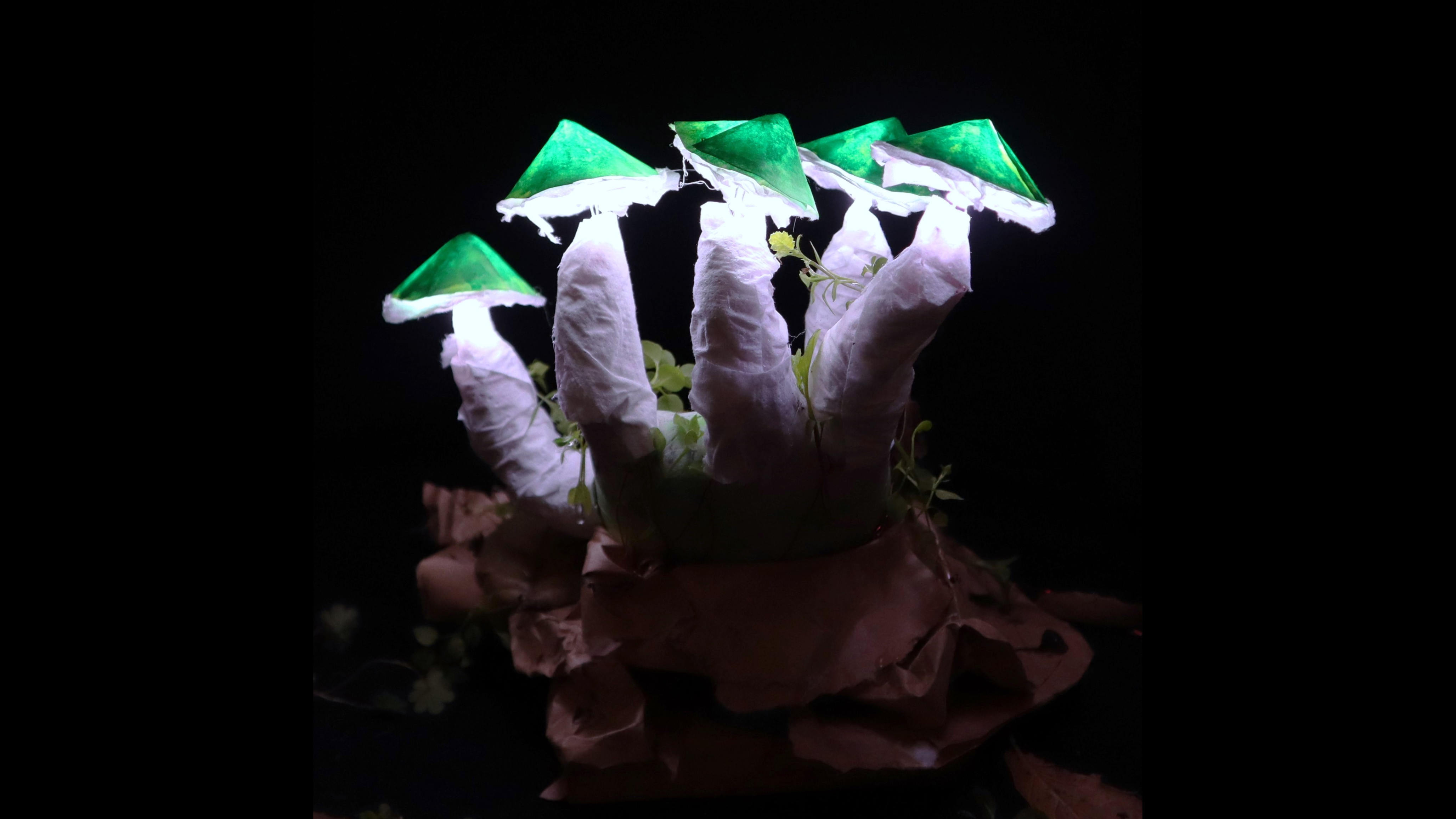 Back view of the illuminated sculpture.