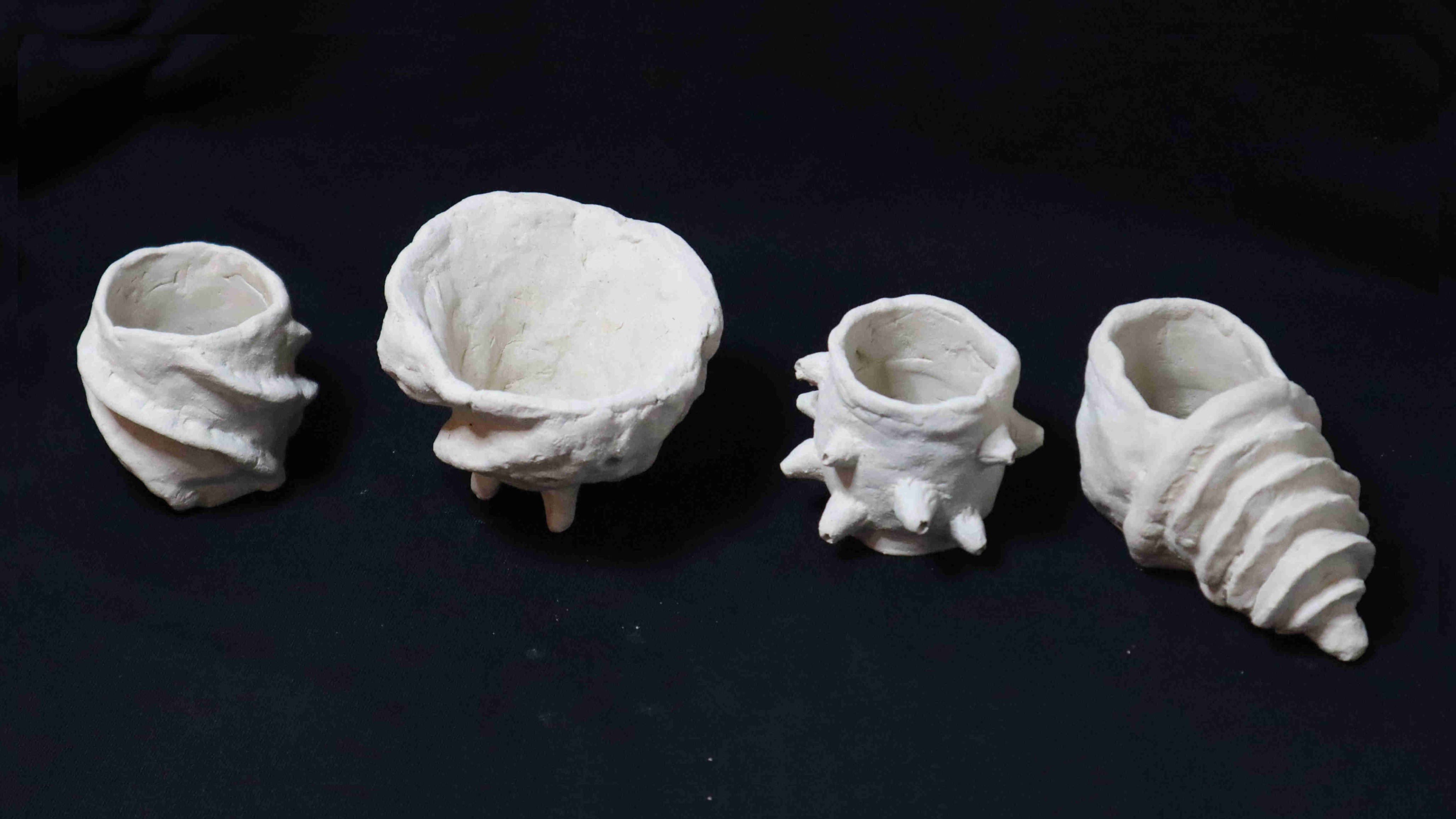 Wabi Sabi Seashell Bowls