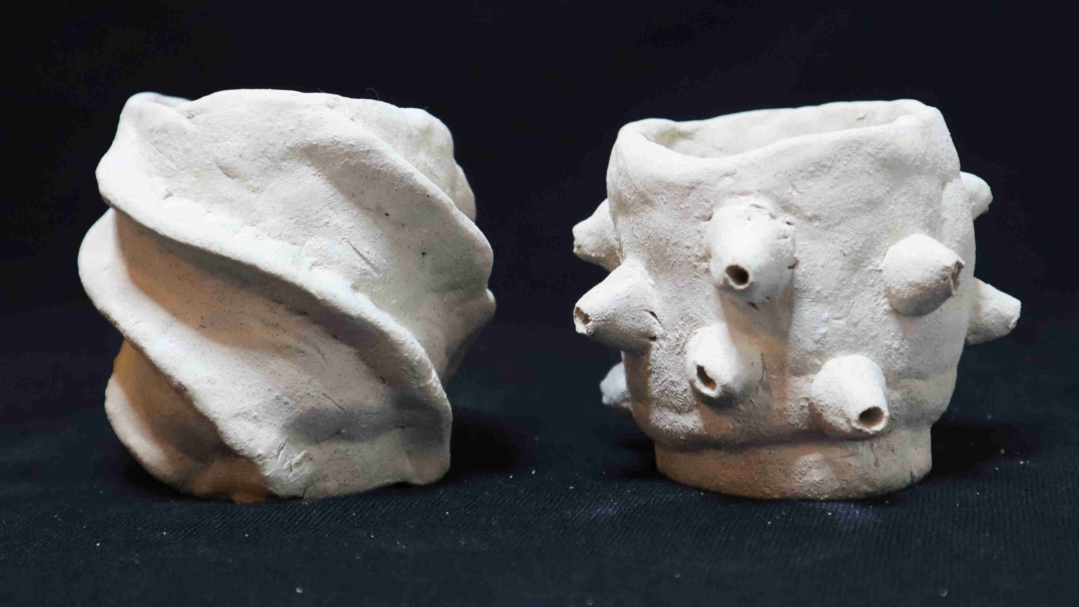 Two seashell-inspired clay bowls, one with spiral-like grooves and the other with a barnacle-like textured surface.