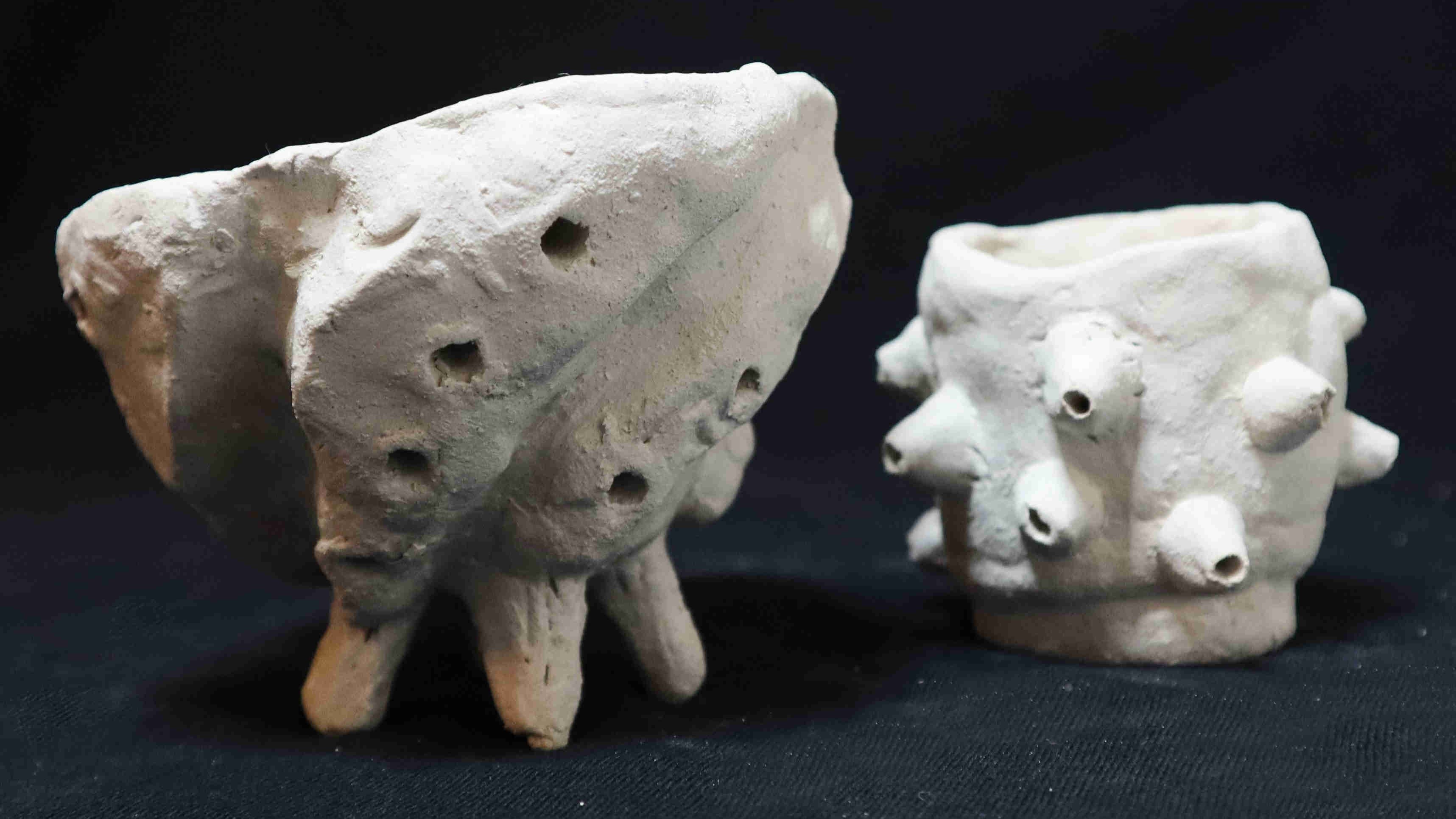 Two different desings for a seashell inpired bowl.