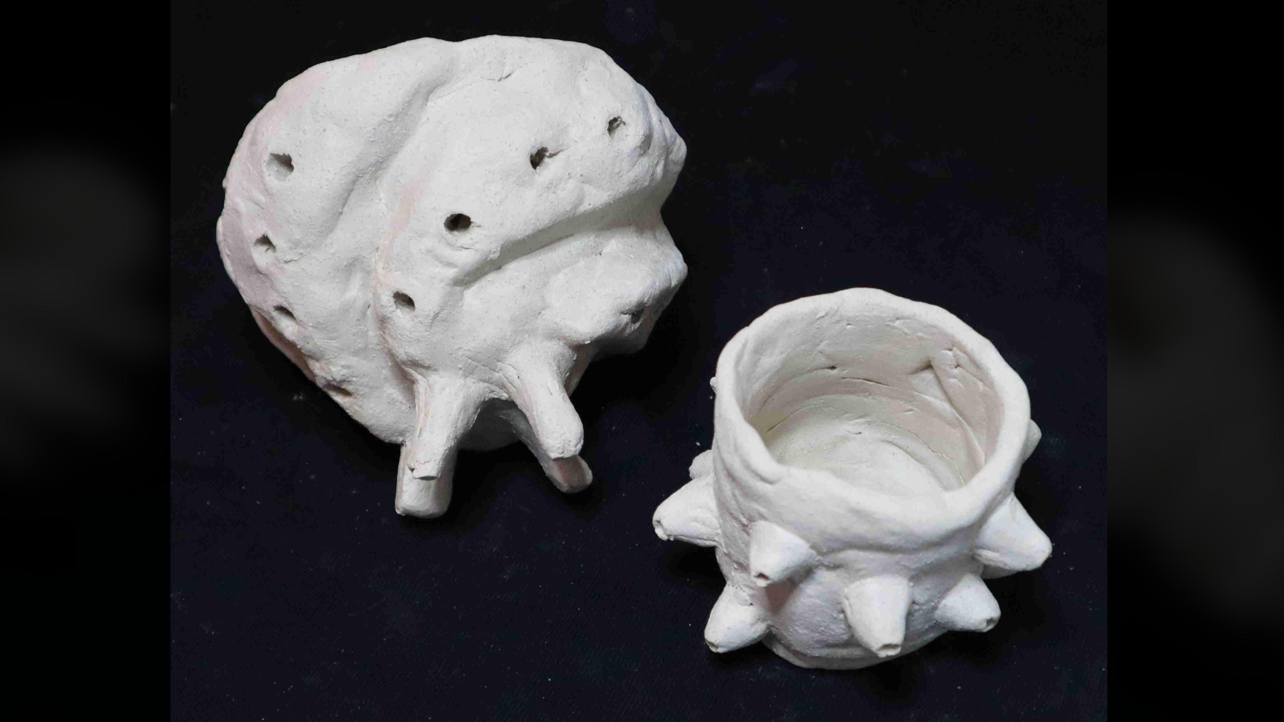 Two seashell-inspired clay bowls, including one shaped like an open shell with spiral-like grooves.