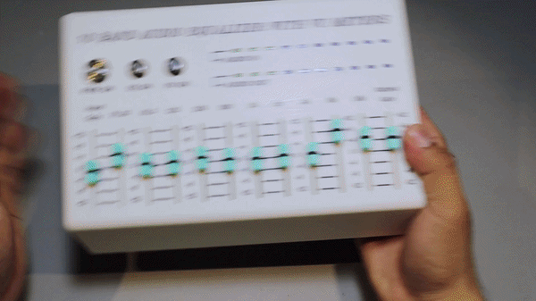 10-Band Audio Equalizer with Dual VU Meters