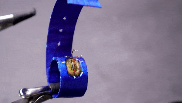 GIF showing soldering iron touching the leads of the prewired 0402 LEDs connected to the LED tag on the ring.